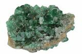 Fluorescent Green Fluorite Cluster - Rogerley Mine, England #173995-1